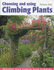 Choosing and Using Climbing Plants: Enhance Your Garden With Climbers