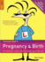 The Rough Guide to Pregnancy and Birth (Rough Guides Reference Titles)