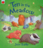 Ten in the Meadow