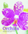 Orchids