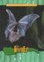 Bats (Animals of the Rainforest)