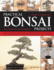 Practical Bonsai Projects: Create 23 Superb Trees Step-By-Step: All You Need to Learn About Creating and Displaying Miniature Trees and Shrubs, Shown in...With More Than 300 Color Photographs