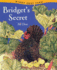 Bridget's Secret (Windy Edge Farm)