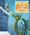 The Dragon Snatcher