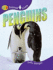 Penguins
