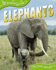 Animal Lives: Elephants (Qed Animal Lives)