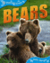 Bears (Qed Animal Lives)
