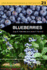 Blueberries [Op] (Agriculture)