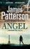 Maximum Ride Angel