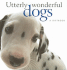 Utterly Wonderful Dogs (Helen Exley Giftbooks)