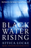 Black Water Rising (the Jay Porter Mysteries By Attica Locke)