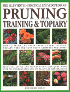 The Pruning, Training & Topiary, Illustrated Practical Encyclopedia of: How to Prune and Train Trees, Shrubs, Hedges, Topiary, Tree and Soft Fruit, ...Photographs and 270 Practical Illustrations