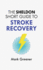 The Sheldon Short Guide to Stroke Recovery (Sheldon Short Guides)