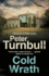 Cold Wrath: 25 (a Hennessey & Yellich Mystery)