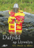 Dafydd Ap Llywelyn: the Shield of Wales