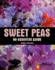 Sweet Peas: an Essential Guide