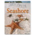 100 Facts Seashore