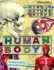 The Human Body: an Amazing Look Inside You
