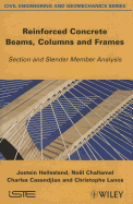 Reinforced Concrete Beams Columns and Frames Section and Slender Member Analysis (Hb 2013)