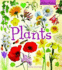 Wildlife Watchers: Plants