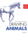 Drawing Animals (Artists Workbook)