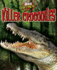 Killer Crocodiles (Animal Attack)