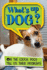 What's Up Dog? : on the Couch: Dogs Tell Us Their Problems