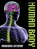 Nervous System (Inside the Human Body)