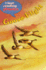 Goose Flight (I Love Reading Phonics Level 5)