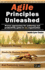 Agile Principles Unleashed