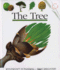 The Tree (First Discovery) (First Discovery Series)