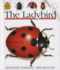 The Ladybird (First Discovery Series)