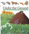 Under the Ground (First Discovery)