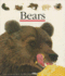 Bears (First Discovery Series)