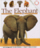 The Elephant (First Discovery)