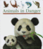 Animals in Danger (First Discovery)