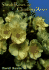 Shrub Roses and Climbing Roses: With Hybrid Tea and Floribunda Roses