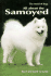 All About the Samoyed