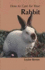 How to Care for Your Rabbit (Your First...Series)
