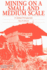 Mining on a Small and Medium Scale: A Global Perspective