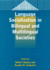 Bilingual Education & Bilingualism: Language Socialization in Bilingual and Multilingual Societies: Edited By Robert Bayley and Sandra R. Schecte(Volume 39)