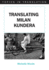 Translating Milan Kundera (Topics in Translation)