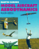 Model Aircraft Aerodynamics