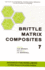 Brittle Matrix Composites (Volume 7)