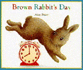 Brown Rabbit's Day (Little Rabbit Books)