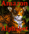 Amazon Alphabet