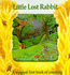 Little Lost Rabbit (Magic Window)