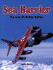 Sea Harrier: the Last All-British Fighter