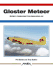 Gloster Meteor (Aerofax)