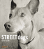 Street Dogs